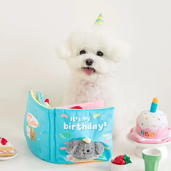 Birthday Book Snuffle Dog Toy