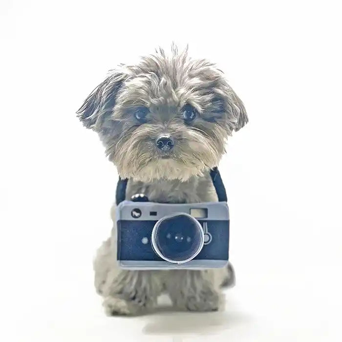 Camera Plush Dog Toy